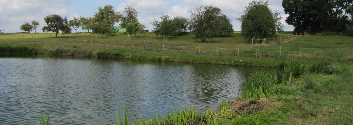 Saubere Gewässer sind die Grundvoraussetzung für frischen und Gesunden Fisch. Saubere Gewässer sind die Grundvoraussetzung für frischen und Gesunden Fisch.