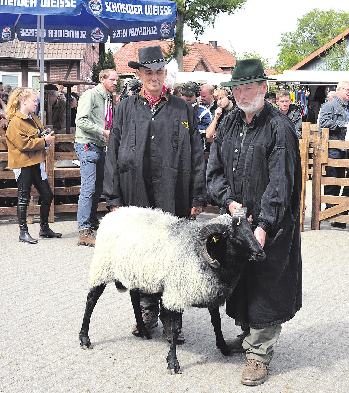 Der zum schönsten Bock gekürte Mister Müden 2019 kommt vom Verein Schäferhof aus Neuenkirchen. Foto: Alexiou Der zum schönsten Bock gekürte Mister Müden 2019 kommt vom Verein Schäferhof aus Neuenkirchen. Foto: Alexiou