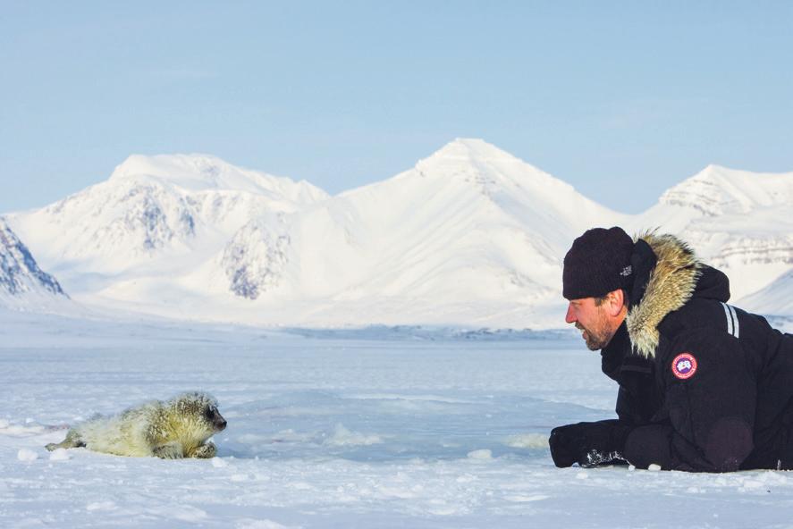 Eine besondere Begegnung mit einem Ringelrobben-Baby in der Arktis
