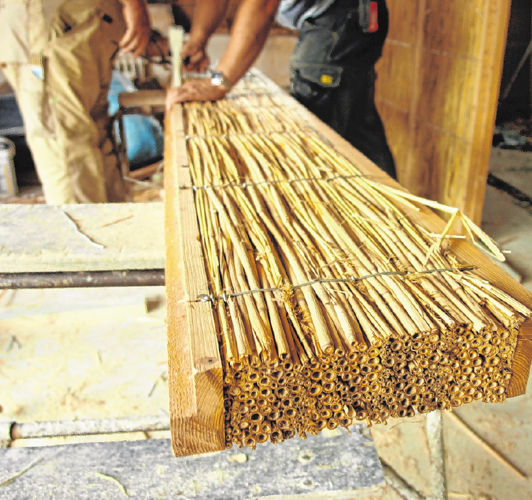 Schilf kann mehr als nur ein Sichtschutz für Balkongitter sein: Das Produkt kommt etwa auch in Innenwänden von Häusern zum Einsatz. FOTO: HISS REET SCHILFROHRHANDEL GMBH, MAG Schilf kann mehr als nur ein Sichtschutz für Balkongitter sein: Das Produkt kommt etwa auch in Innenwänden von Häusern zum Einsatz. FOTO: HISS REET SCHILFROHRHANDEL GMBH, MAG