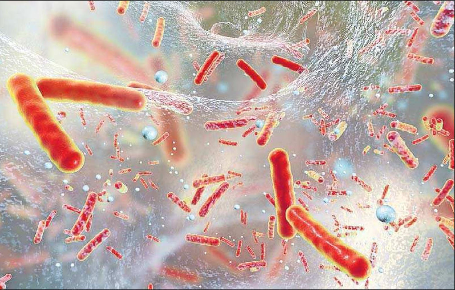Wichtigste Waffe gegen Keime wie Stäbchenbakterien: Antibiotika. Um die Verbreitung resistenter Bakterien zu vermeiden, müssen alle an einem Strang ziehen. FOTO: KATERYNA KON/STOCK.ADOBE.COM Wichtigste Waffe gegen Keime wie Stäbchenbakterien: Antibiotika. Um die Verbreitung resistenter Bakterien zu vermeiden, müssen alle an einem Strang ziehen. FOTO: KATERYNA KON/STOCK.ADOBE.COM