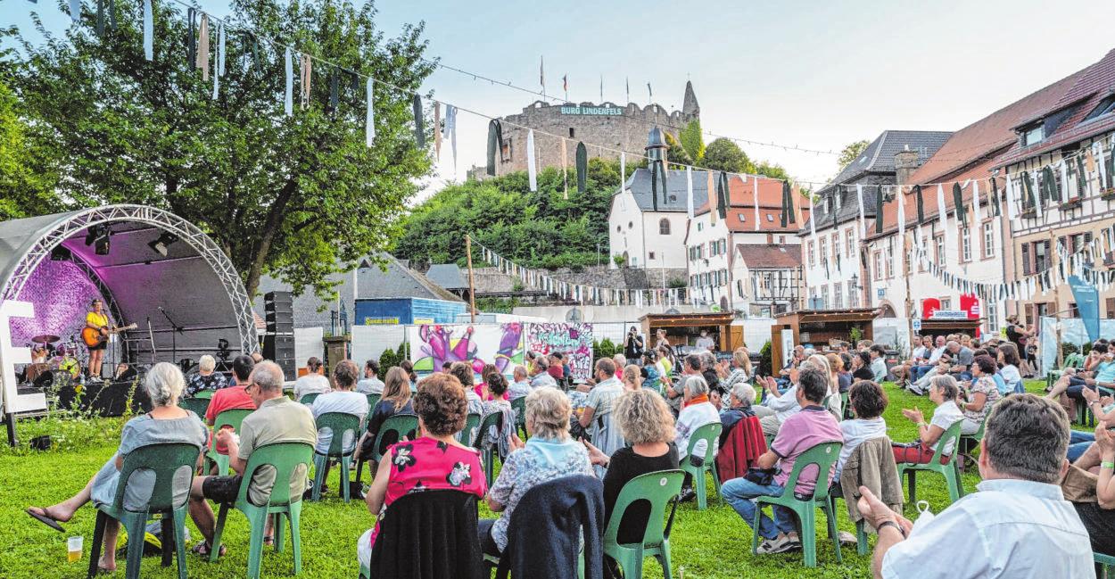 Mit einem Jahr Verzögerung ging im Sommer das Lindenfels-Festival an den Start. Das Publikum war begeistert, schließlich waren die meisten anderen Großveranstaltungen in der Stadt wieder abgesagt worden. BILD: NEU