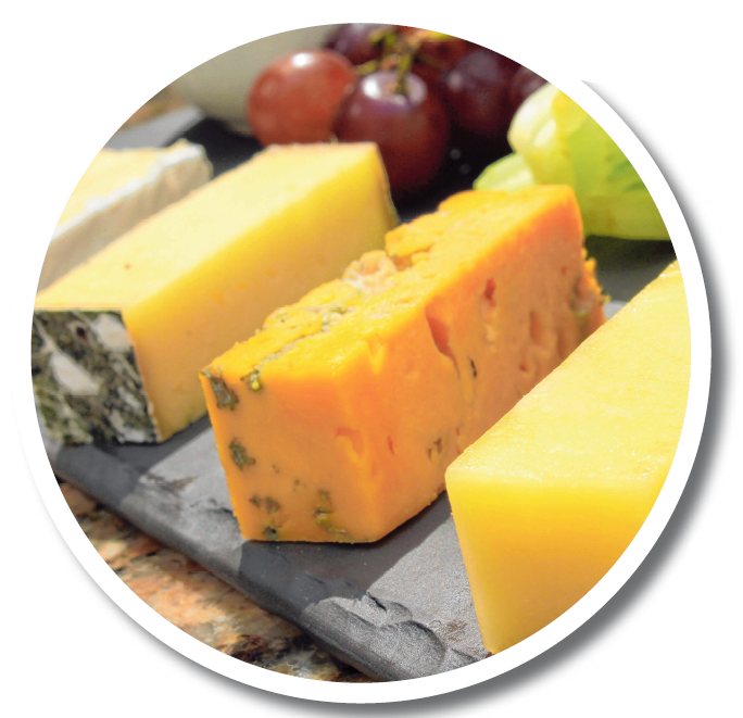 Käse, Wein und Musik genießen Image 1 Käse, Wein und Musik genießen Image 1