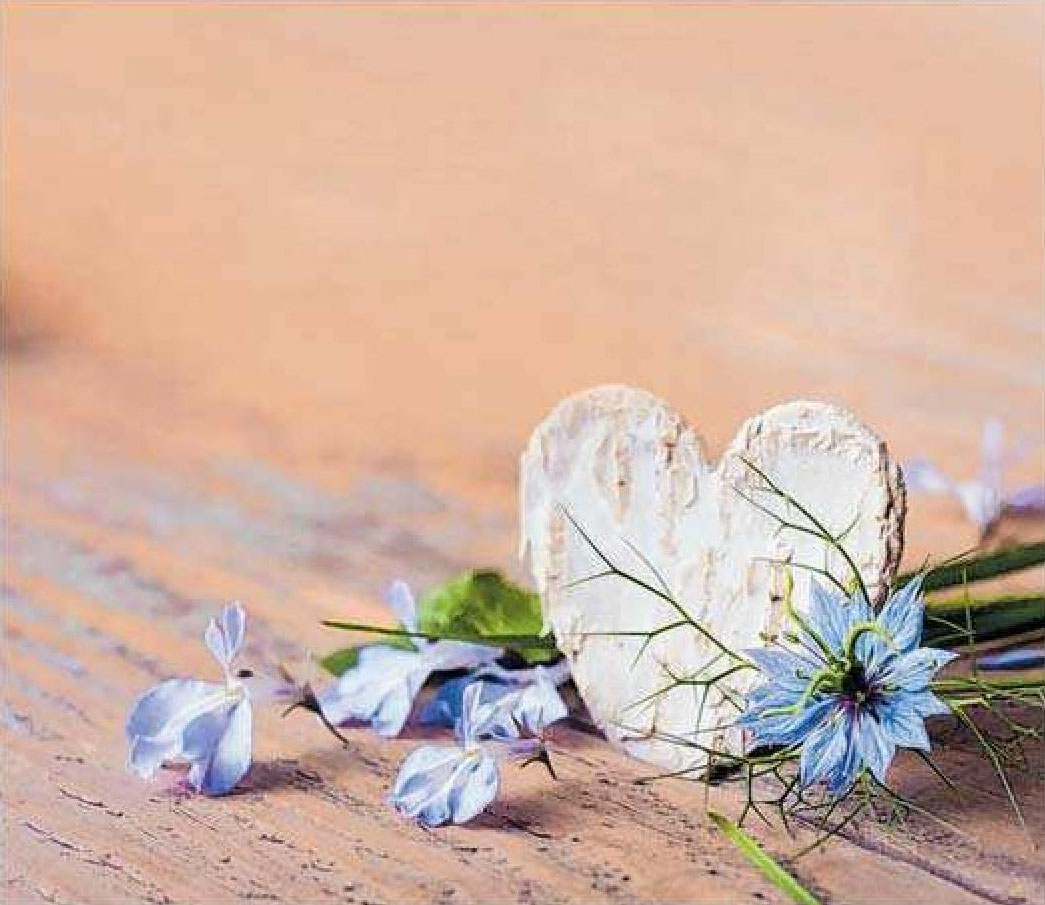 Da liegt Liebe in der Luft: Der Valentinstag ist perfekt für einen Tag voller Zweisamkeit. Da liegt Liebe in der Luft: Der Valentinstag ist perfekt für einen Tag voller Zweisamkeit.