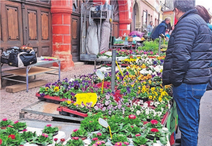 Ein Hauch von Frühling ist beim Schlendern entlang der zahlreichen Marktstände in Ebern zu spüren. Fotos: A. Altmann Ein Hauch von Frühling ist beim Schlendern entlang der zahlreichen Marktstände in Ebern zu spüren. Fotos: A. Altmann