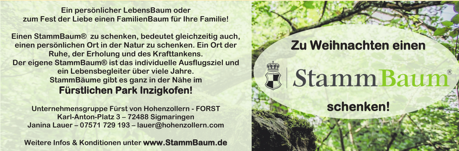 StammBaum StammBaum