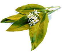 ISTOCK/SCISETTIALFIO ISTOCK/SCISETTIALFIO