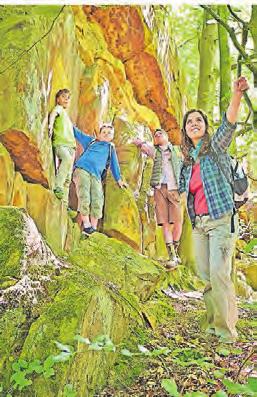 Auf den Wanderwegen gibt es Spannendes zu entdecken. Auf den Wanderwegen gibt es Spannendes zu entdecken.