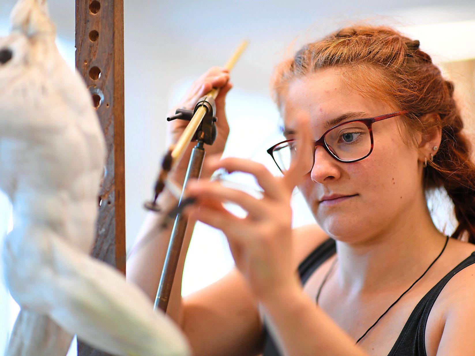 Die Proportionen müssen stimmen: Dafür lernen angehende Holzbildhauer wie Sophia Böhner Übertragungstechniken wie das Punktieren. Foto: Angelika Warmuth/dpa Die Proportionen müssen stimmen: Dafür lernen angehende Holzbildhauer wie Sophia Böhner Übertragungstechniken wie das Punktieren. Foto: Angelika Warmuth/dpa