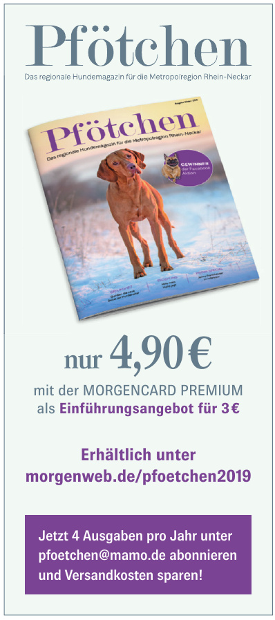 Morgenweb Morgenweb