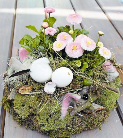 Eier, Federn und Moos: eine klassische Dekorationsmöglichkeit für Ostern. FOTO: CLEMENS Eier, Federn und Moos: eine klassische Dekorationsmöglichkeit für Ostern. FOTO: CLEMENS