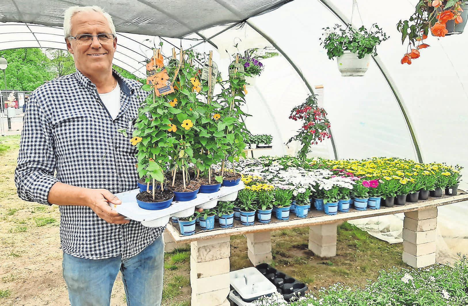Bunte Vielfalt für den Garten: Detlef Nötel im Geranienmarkt am Handelshof. Bunte Vielfalt für den Garten: Detlef Nötel im Geranienmarkt am Handelshof.