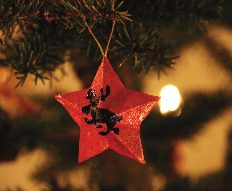 Und wenn wir am Heiligabend am Tannenbaum ein Lied anstimmen, dann ist Weihnachten – endlich. Foto: Michael Rahn