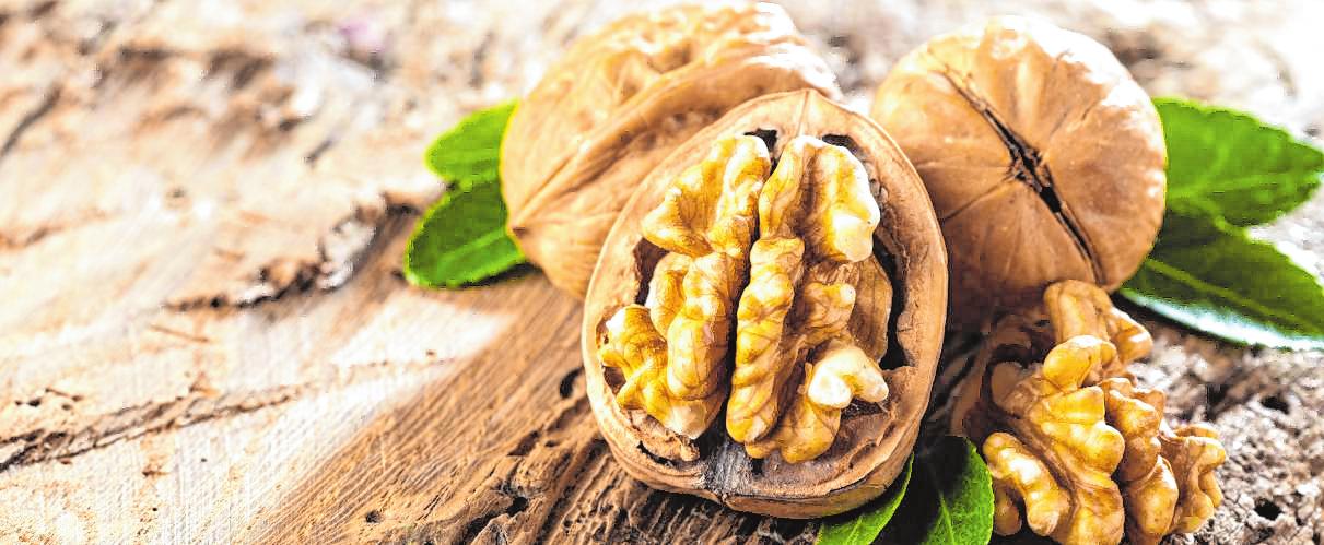 Walnüsse: nicht nur gesund, sondern auch lecker – unter anderem zu Wein. Bild: karepa - stock.adobe.com Walnüsse: nicht nur gesund, sondern auch lecker – unter anderem zu Wein. Bild: karepa - stock.adobe.com