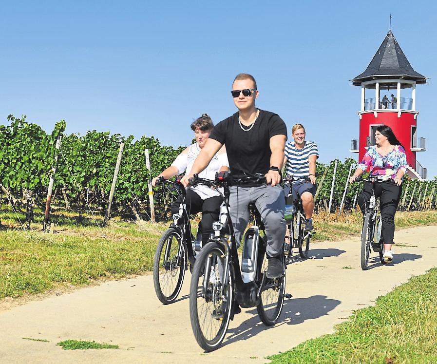 Dank der eigenen E-Bike-Verleihstationen lässt sich das Rheinhessische Hügelland auch gut mit dem Rad erkunden. Fotos: Tourismus GmbH „Im Herzen Rheinhessens“