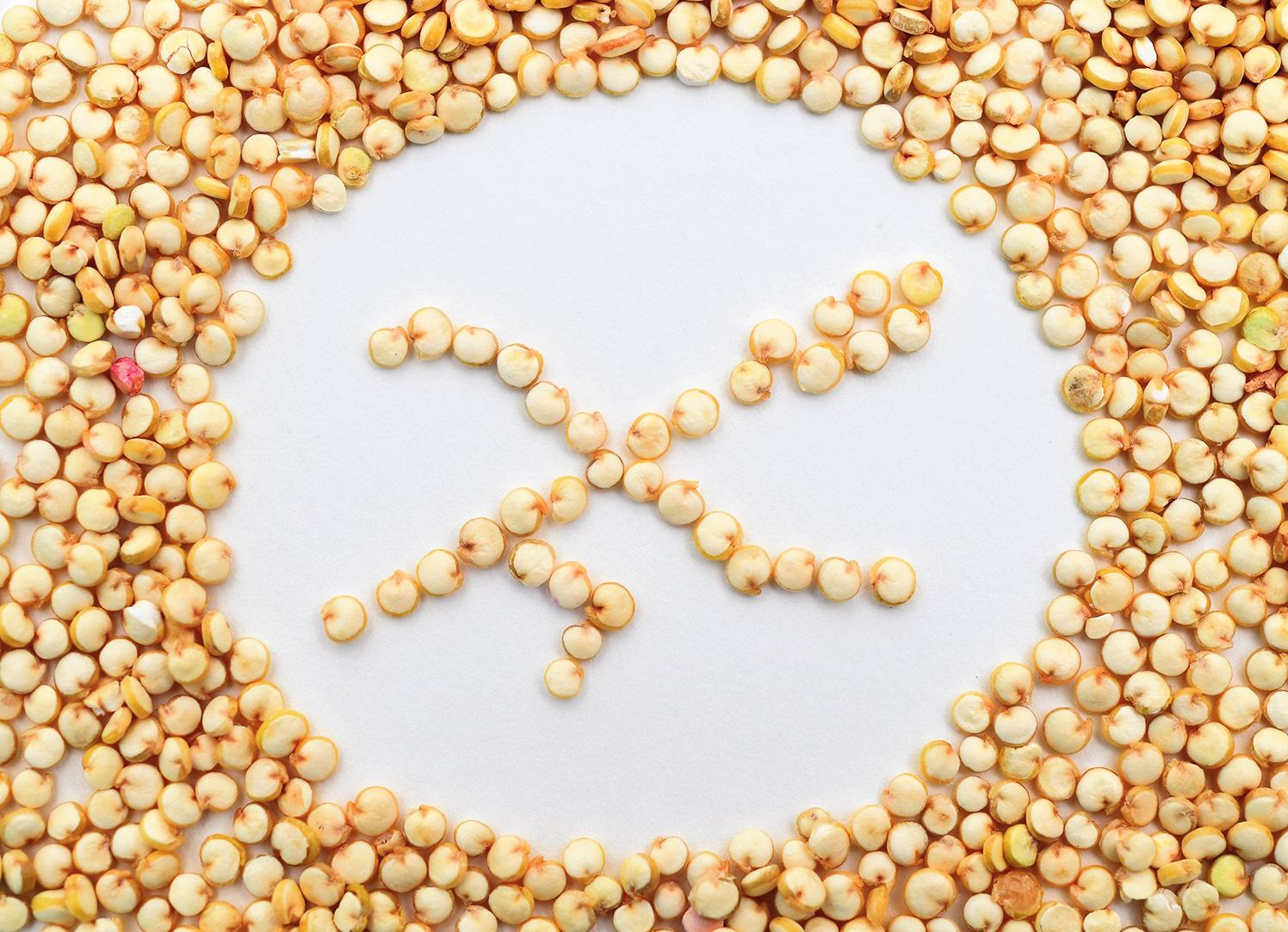 Bei einigen glutenfreien Produkten werden gängige glutenhaltige Getreidesorten – zum Beispiel Weizen – durch sogenannte Pseudo-Getreide wie Quinoa ersetzt. FOTOS: DPA