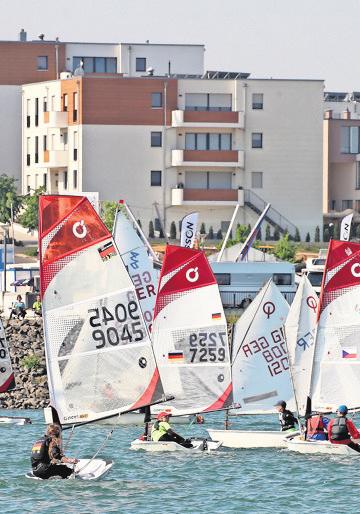 Die Segelregatta Z1-Cup findet in diesem Jahr zum dritten Mal statt. Die Segelregatta Z1-Cup findet in diesem Jahr zum dritten Mal statt.