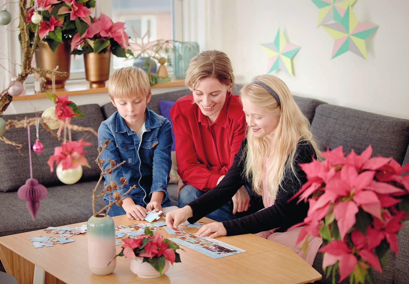 Wundervolle Weihnachtszeit: Zu Weihnachten gehören gemeinsame Lese- und Spielstunden ebenso wie stimmungsvoller Raumschmuck. Für ein regelrechtes Feuerwerk der Farben sorgen prachtvolle Weihnachtssterne Foto: Stars for Europe