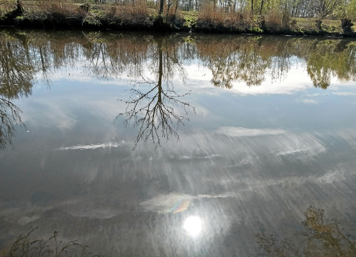 Durch die Linse Image 8 Durch die Linse Image 8