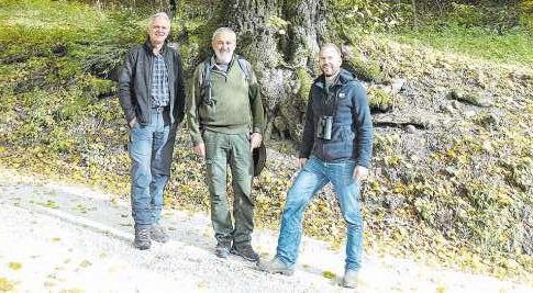 Kennen den Wald wie ihre Westentasche: Thomas Studer, Thomas Leimer und Peter Jäggi (v. l.). Bild: dom