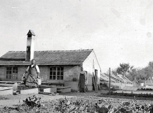 Eines der ältesten Unternehmen in Hirrlingen ist die Gärtnerei Vollmer, die 1912 gegründet und heute bereits in vierter Generation geführt wird. Bild: Vollmer Gärtnerei & Floristik Eines der ältesten Unternehmen in Hirrlingen ist die Gärtnerei Vollmer, die 1912 gegründet und heute bereits in vierter Generation geführt wird. Bild: Vollmer Gärtnerei & Floristik