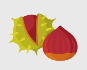 Der Sommer geht, der Herbst kommt Image 7 Der Sommer geht, der Herbst kommt Image 7