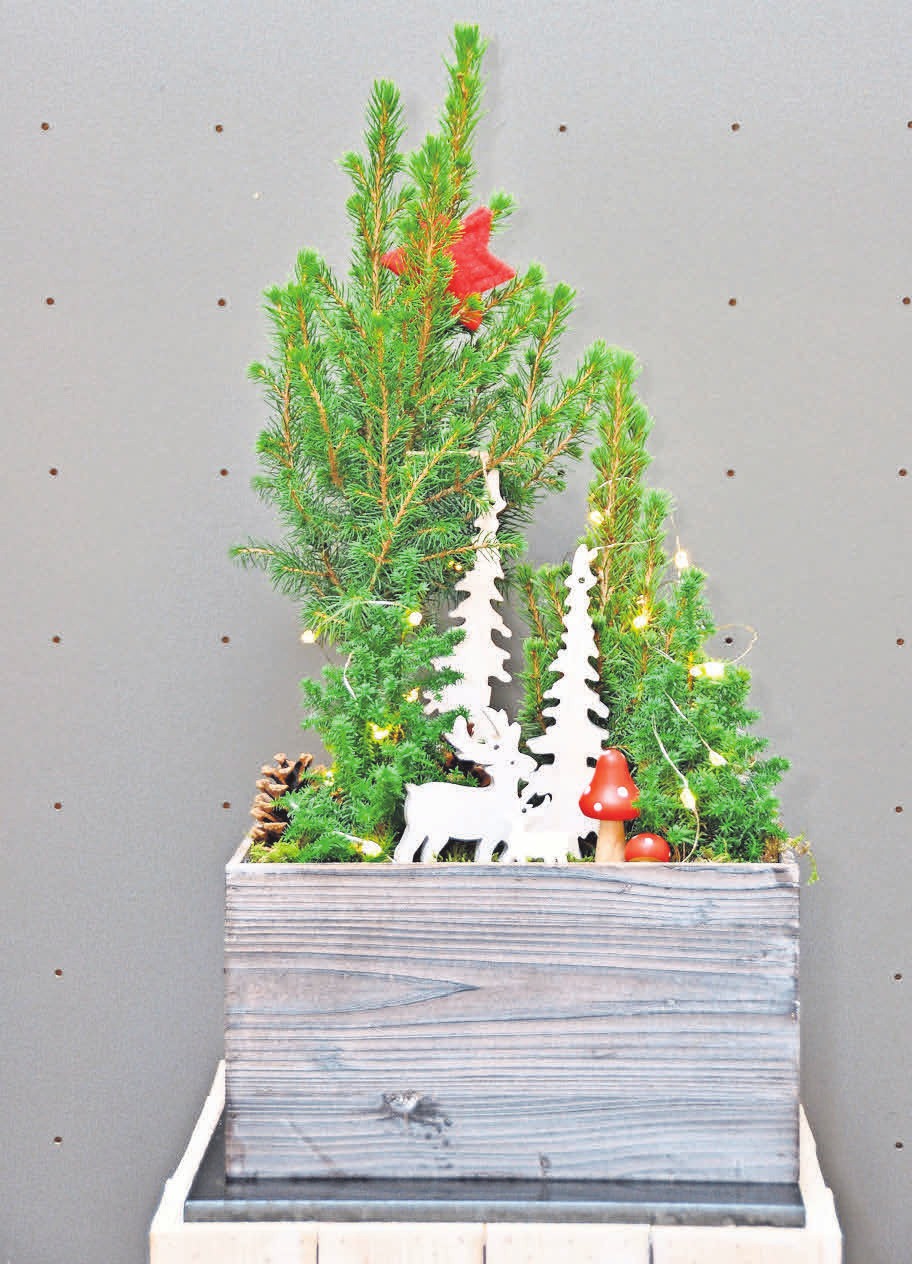 „Advent in der Holzkiste“ ist ein echter Hingucker. „Advent in der Holzkiste“ ist ein echter Hingucker.