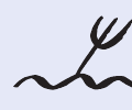 Neckarsulmer Stimme Teil III Image 11 Neckarsulmer Stimme Teil III Image 11