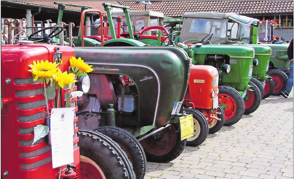 Glänzend geputzte Schätze: Das Oldtimer-Traktorentreffen findet alljährlich am Kerwesonntag statt. FOTO: GEMEINDEVERWALTUNG/FREI Glänzend geputzte Schätze: Das Oldtimer-Traktorentreffen findet alljährlich am Kerwesonntag statt. FOTO: GEMEINDEVERWALTUNG/FREI