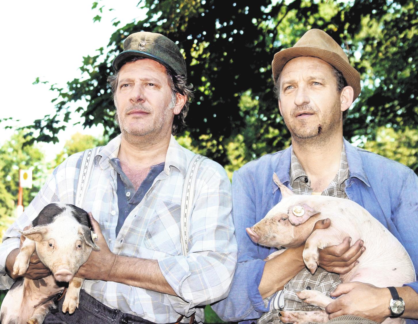 In Stormarn gibt es 97.881 Schweine. Einige sind Stars der Serie „Neues aus Büttenwarder“. Fotos (2): Picture-Alliance  