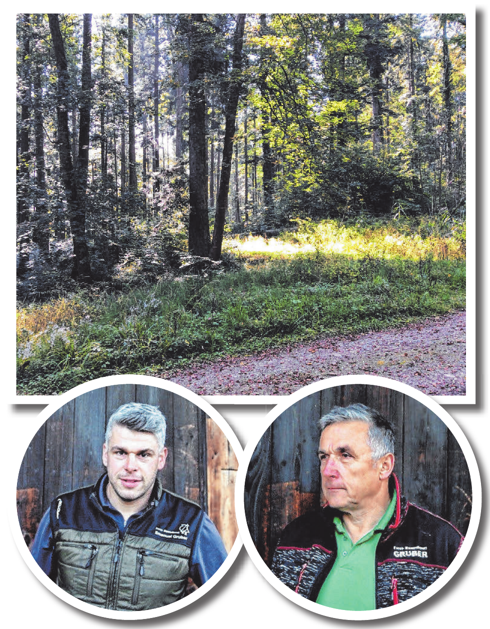 Im Einsatz für Wald und Holz Image 1 Im Einsatz für Wald und Holz Image 1