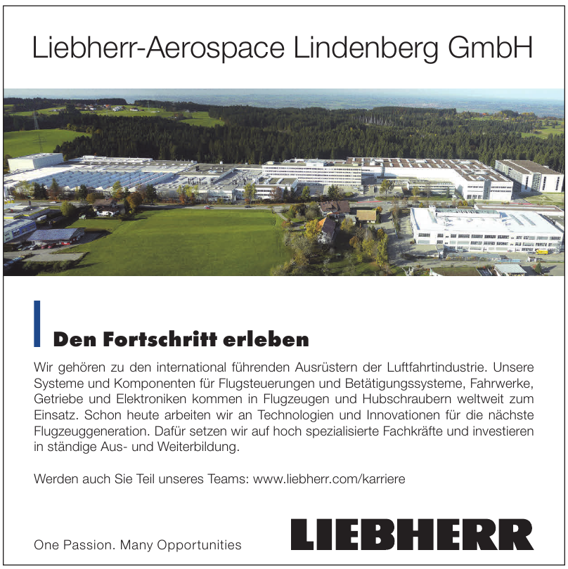 Liebherr-Aerospace Lindenberg GmbH Liebherr-Aerospace Lindenberg GmbH