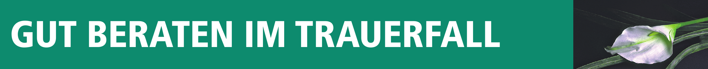 Spezialisten für individuelle Grabmale Image 1 Spezialisten für individuelle Grabmale Image 1