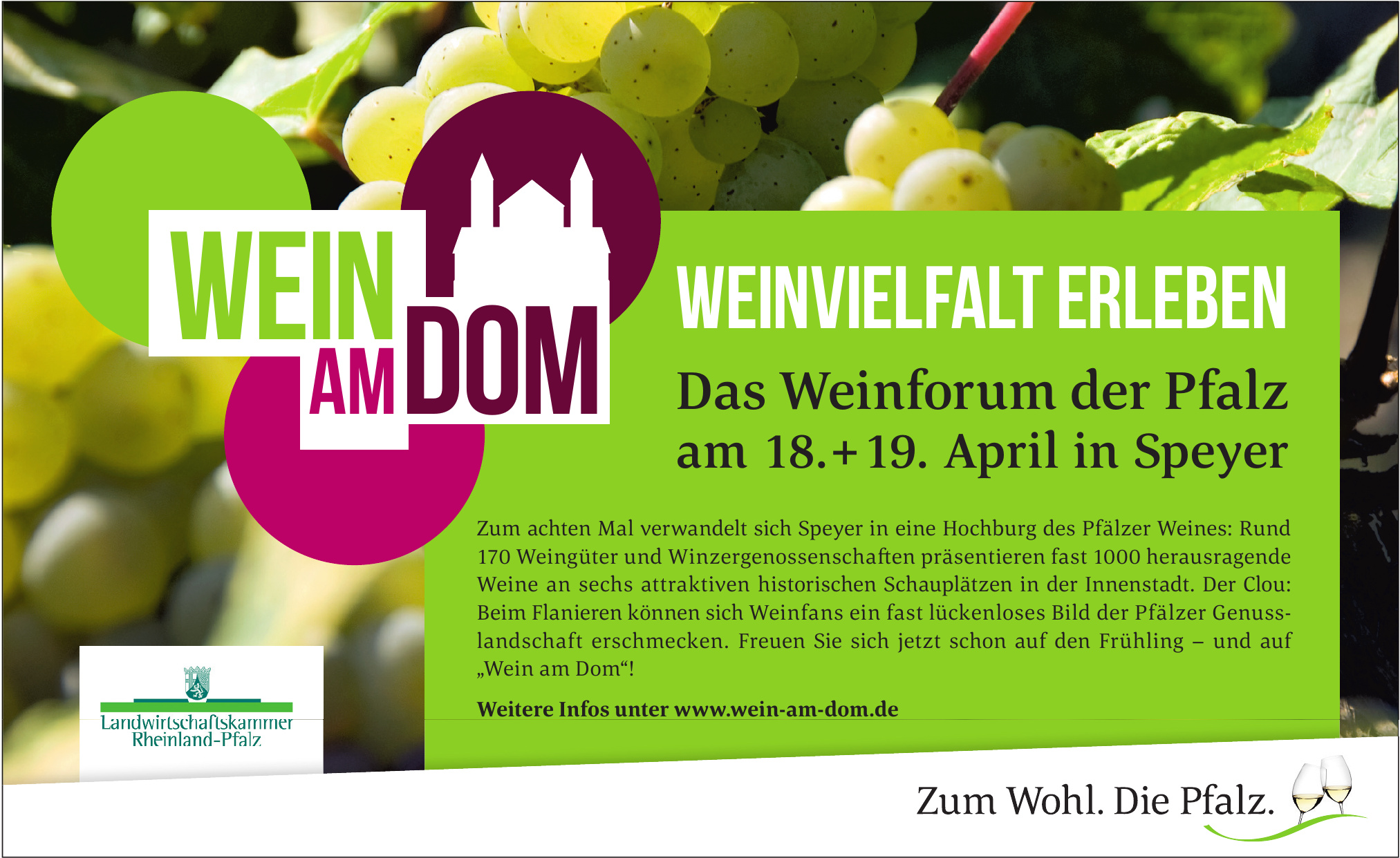 Wein am Dom Wein am Dom