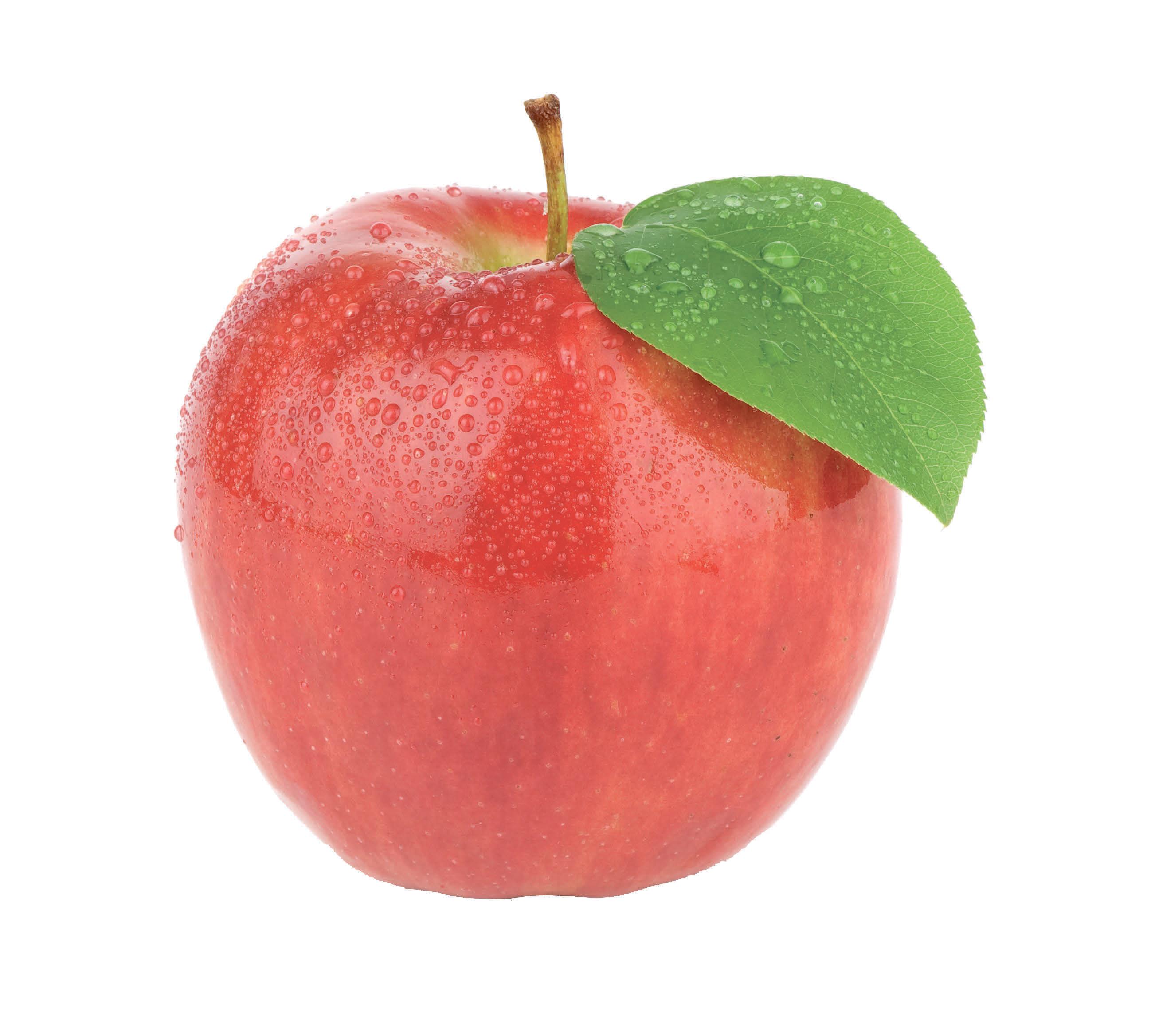 Die Septemberernte verspricht eine große Auswahl an frischem Gemüse und Obst Image 1 Die Septemberernte verspricht eine große Auswahl an frischem Gemüse und Obst Image 1
