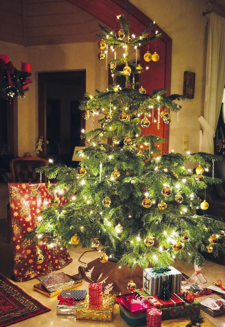 In 80 Prozent der deutschen Haushalte gehört der Weihnachtsbaum zum Christfest Foto: Pixabay