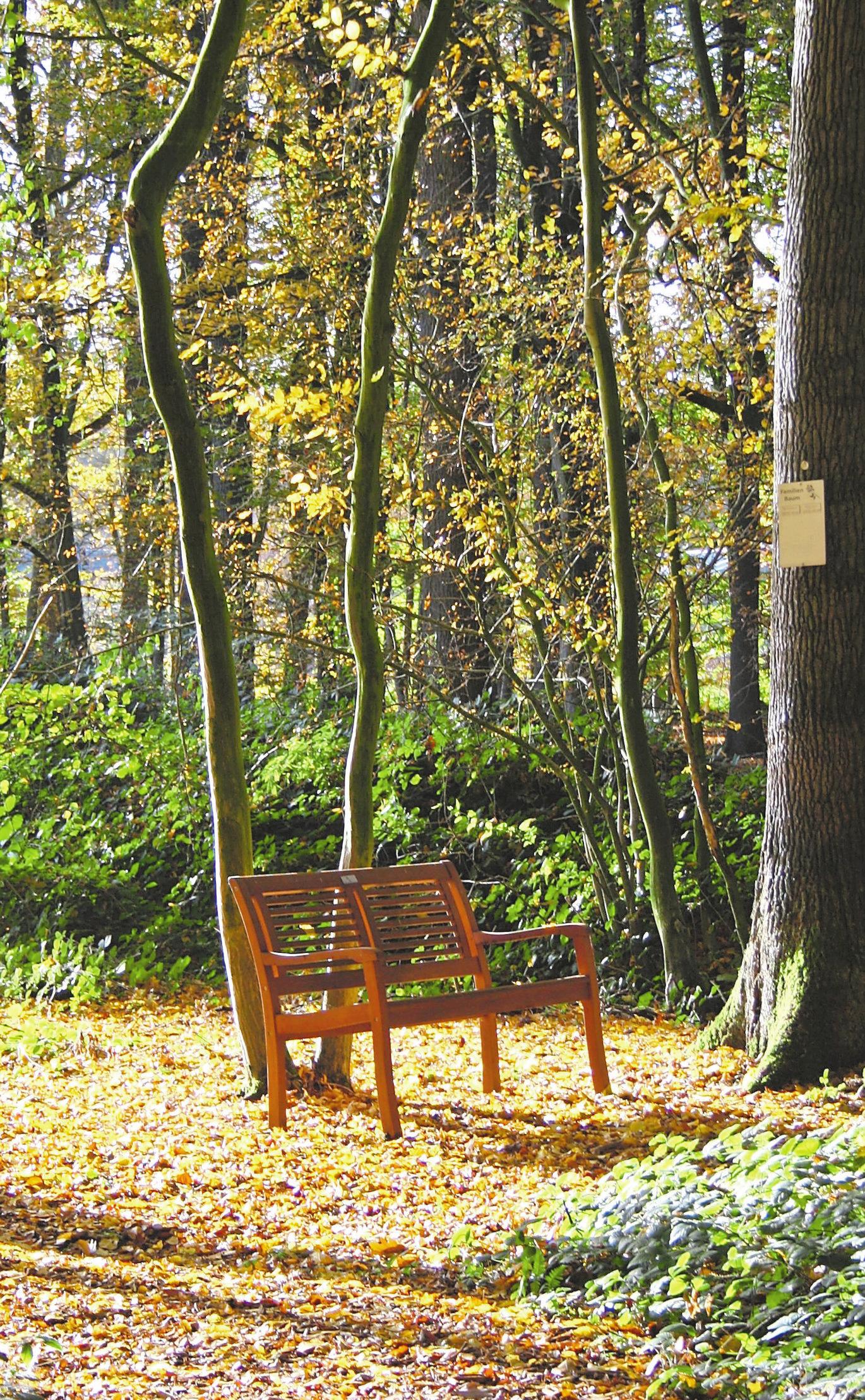 Jede Jahreszeit hat im „Waldfrieden“ einen ganz eigenen Zauber. Foto: Simone Friedrichs Jede Jahreszeit hat im „Waldfrieden“ einen ganz eigenen Zauber. Foto: Simone Friedrichs