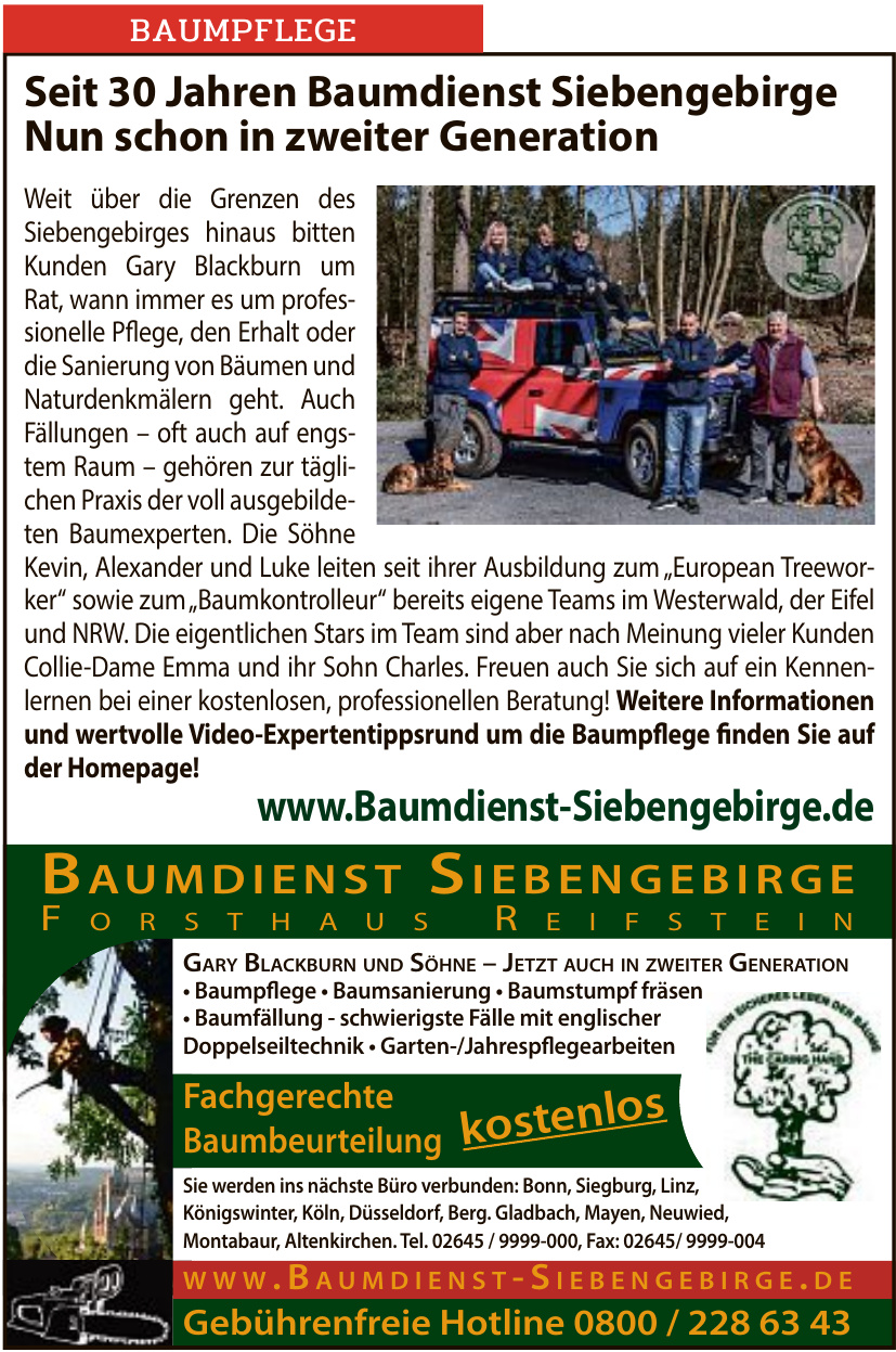 Baumdienst Siebengebirge Baumdienst Siebengebirge