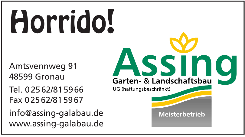 Assing Assing