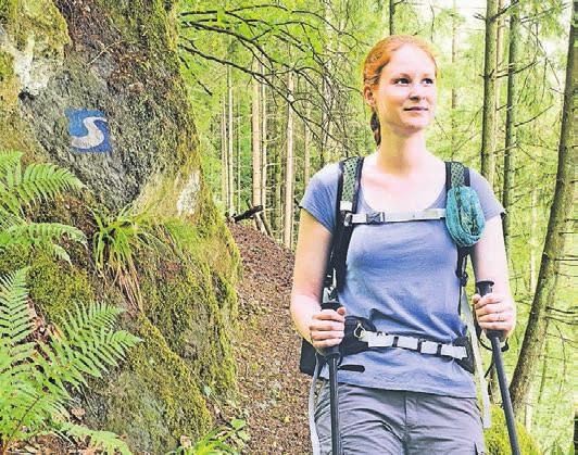 Auf dem Natursteig Sieg gibt es viel zu entdecken. Auf dem Natursteig Sieg gibt es viel zu entdecken.