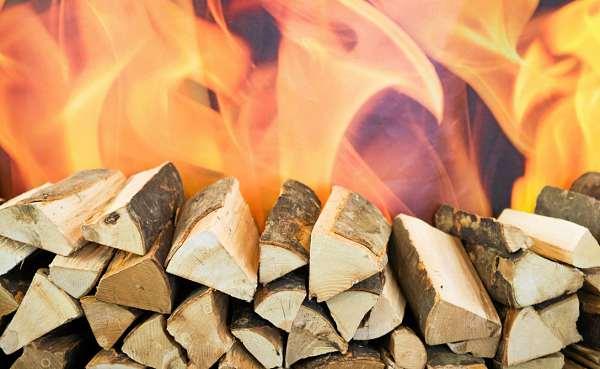 Die Preise für Brennholz sind seit dem Sommer massiv angestiegen. Kritiker bemängeln die Ökobilanz von Holz als Brennstoff. FRANK RUMPENHORST/DPA-TMN