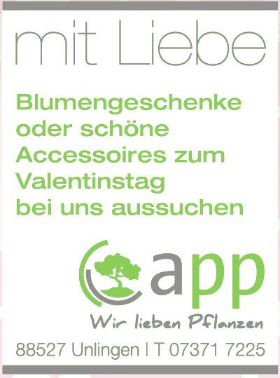 app app