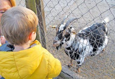 Erlebnis in der »Wildnis« Erlebnis in der »Wildnis«