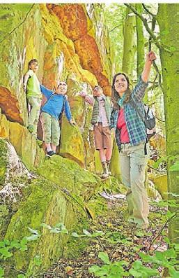 Auf den Wanderwegen gibt es Spannendes zu entdecken. Auf den Wanderwegen gibt es Spannendes zu entdecken.