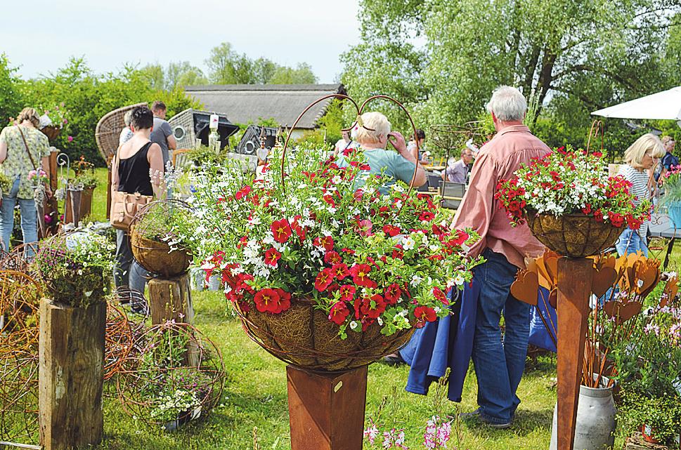 Welche Trends Erwarten Uns 2019 Im Garten Rugen Ostsee Zeitung