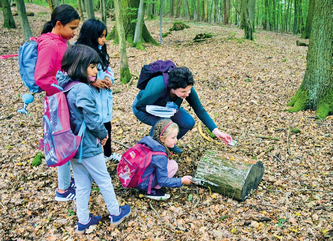 Der Waldfee auf der Spur. Der Waldfee auf der Spur.
