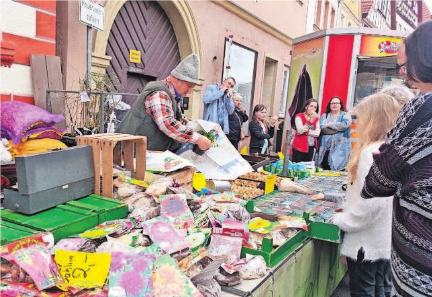 Blumenzwiebeln soweit man blicken kann. Pflanzenfreunde kommen hier voll auf ihre Kosten. Blumenzwiebeln soweit man blicken kann. Pflanzenfreunde kommen hier voll auf ihre Kosten.