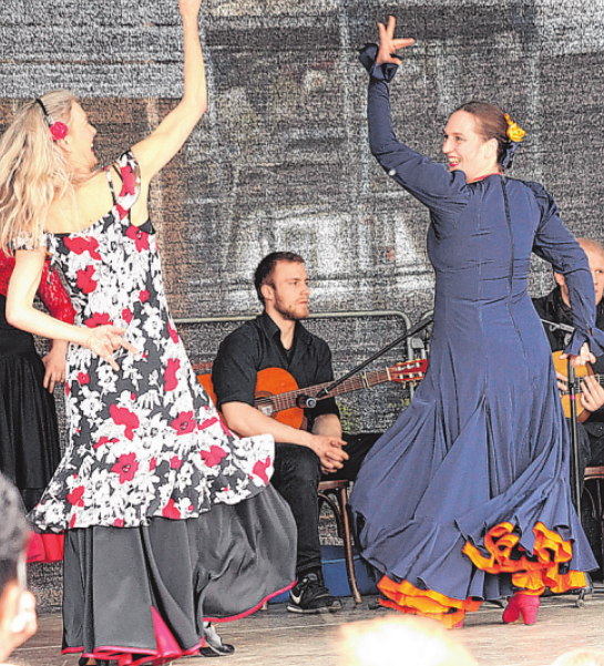 Passion Flamenco Image 1