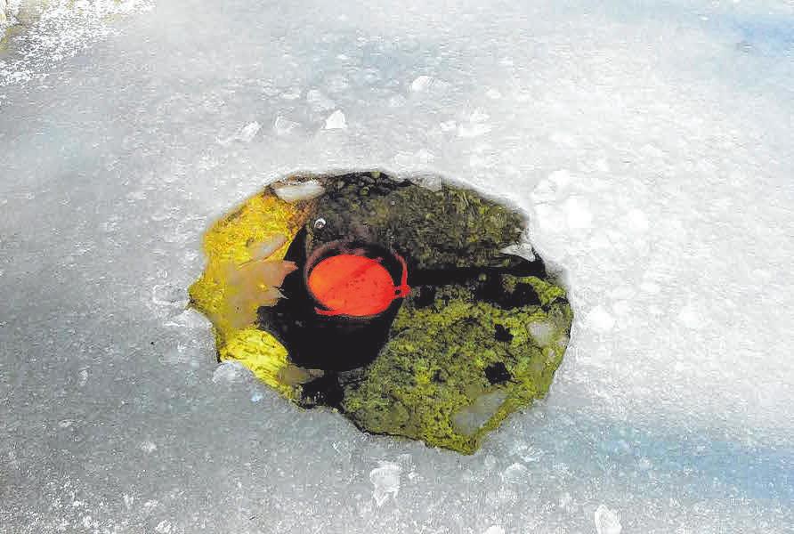 Ausreichend Sauerstoff ist besonders unter der Eisdecke im Gartenteich für das Wohlergehen der Unterwasserbewohner wichtig. FOTOS: DJD/SÖCHTING BIOTECHNIK Ausreichend Sauerstoff ist besonders unter der Eisdecke im Gartenteich für das Wohlergehen der Unterwasserbewohner wichtig. FOTOS: DJD/SÖCHTING BIOTECHNIK
