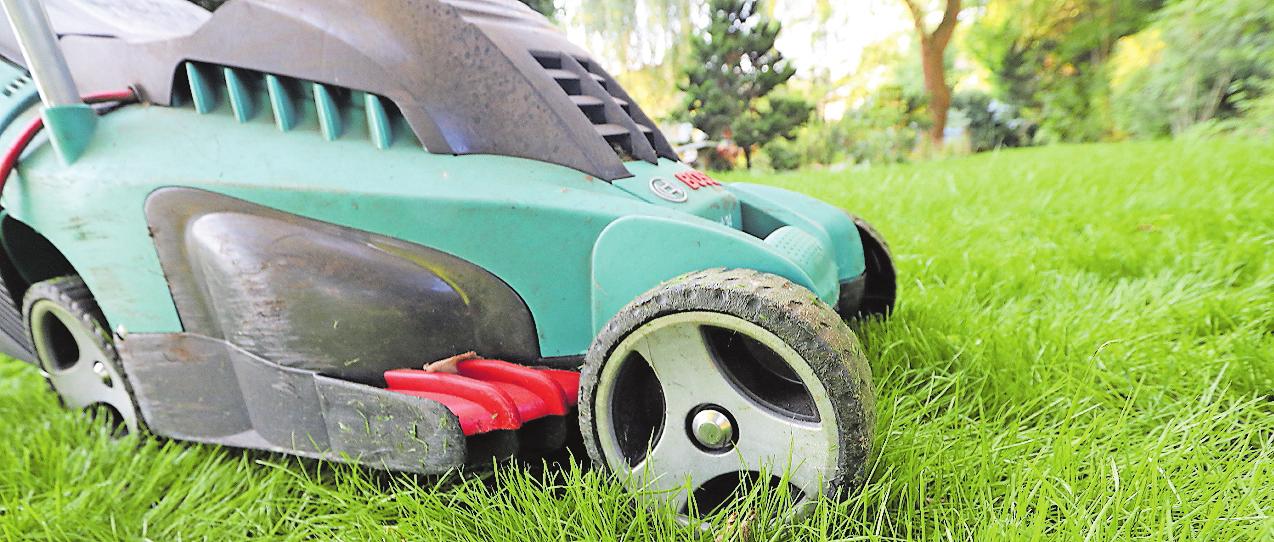 Gartenarbeiten wie Rasenmähen gehören nicht zu den Aufgaben eines Au-pairs – es sei denn, sie haben Lust darauf. FOTO: NESTOR BACHMANN/DPA Gartenarbeiten wie Rasenmähen gehören nicht zu den Aufgaben eines Au-pairs – es sei denn, sie haben Lust darauf. FOTO: NESTOR BACHMANN/DPA